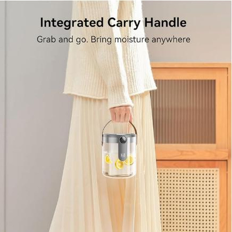 Smart Humidifier